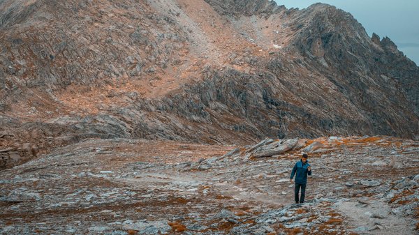 Intersection entre croisière et technologie : Les ponts de croisière les plus high-tech