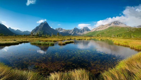Les avantages d'un camping avec piscine