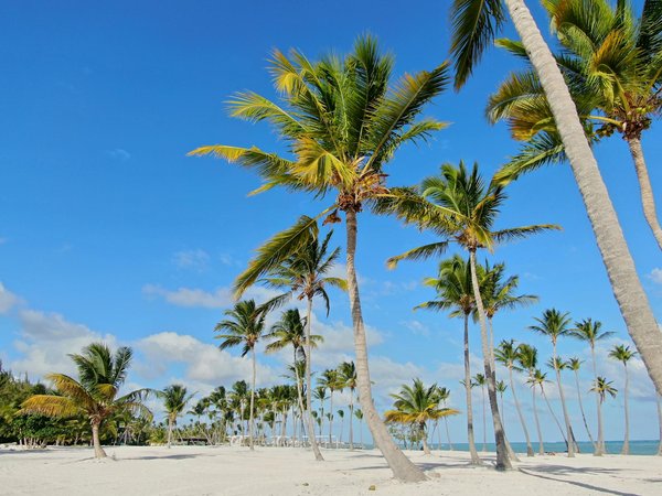 Optimisez vos locations avec un réseau de concierges affiliés